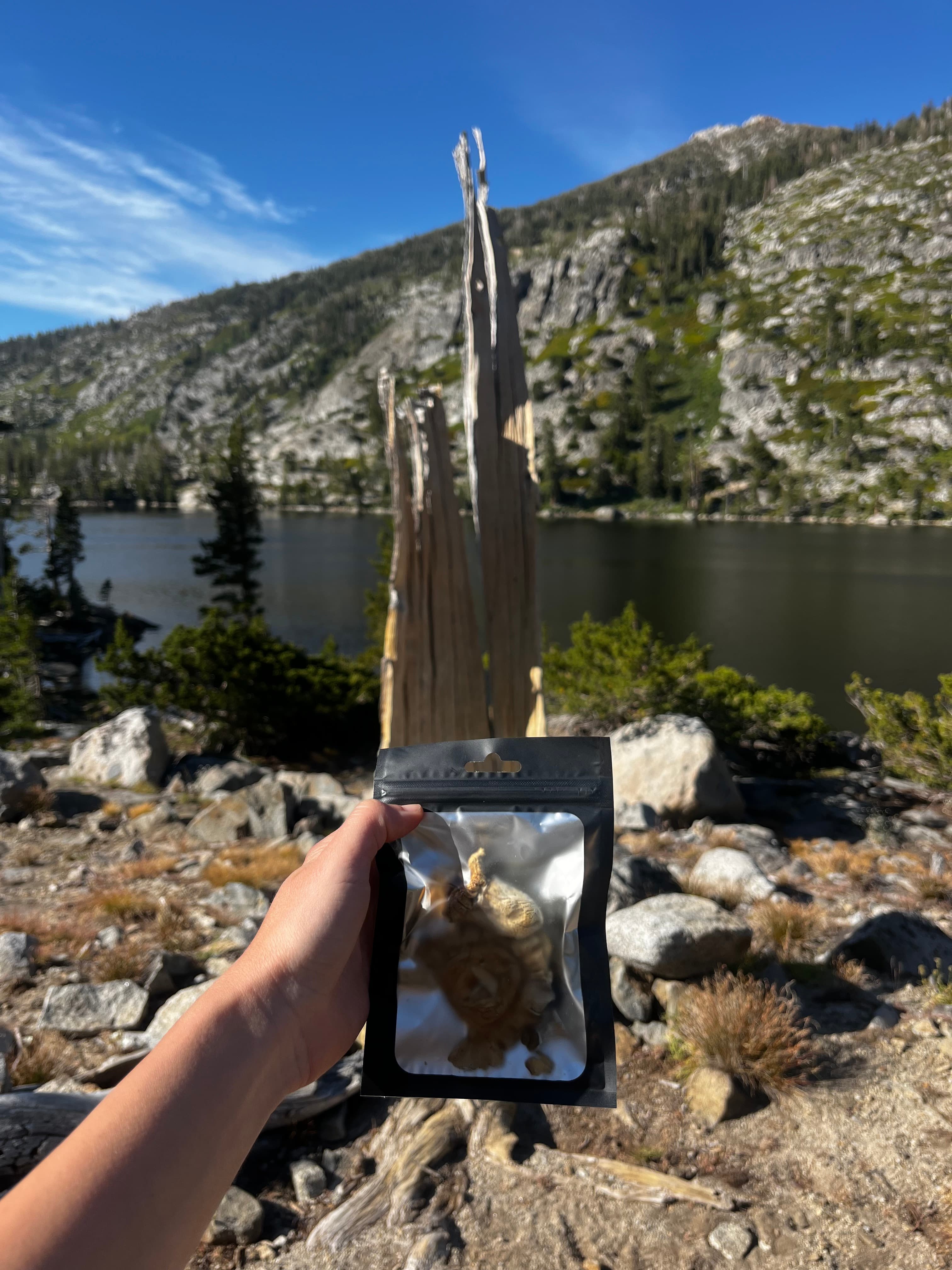 A hand holding a pouch of LUNA dried fruiting bodies above an alpine lake in the Sierra