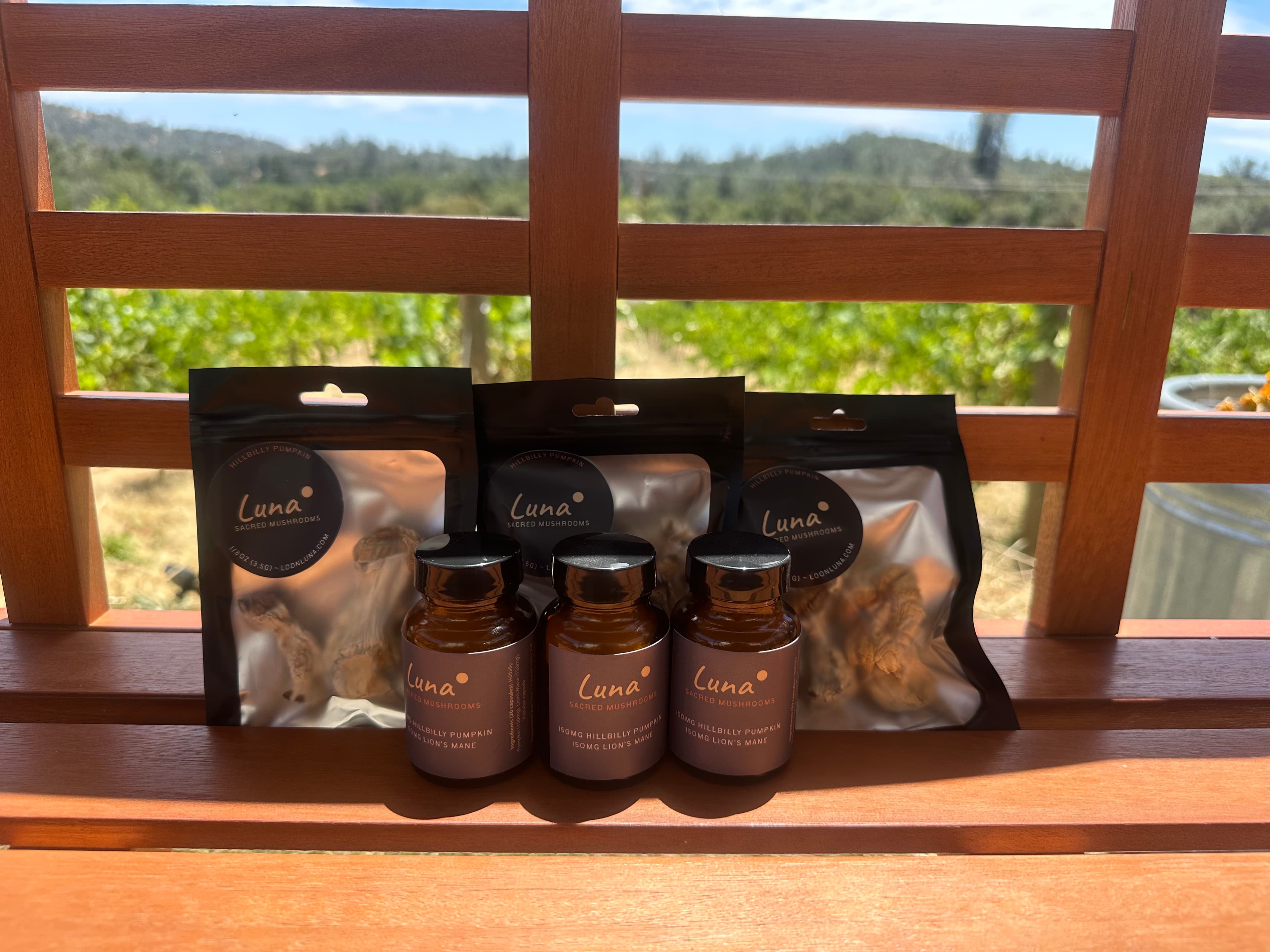 LUNA Sampler product photo